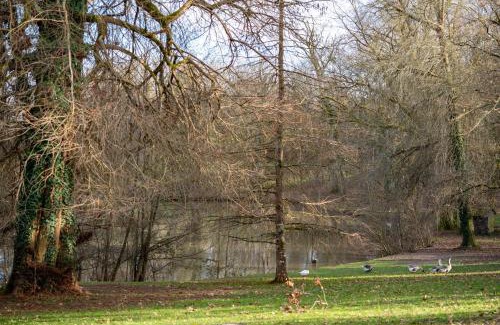 Cuisery Wohnung | À La Motte Cinema, Park BY PRIMO C0NCIERGERIE