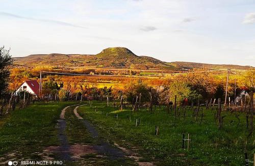 Kisapati Haus | Ágnes almái Ágnes apples