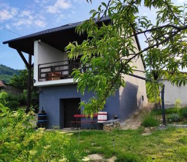 Kisapati Haus | Ágnes almái Ágnes apples