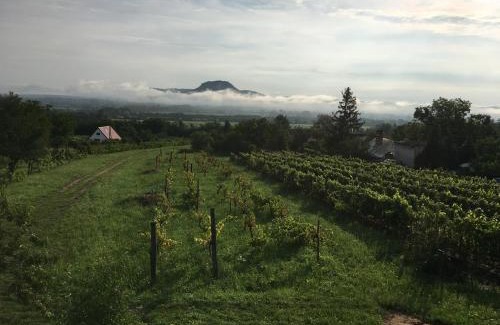Kisapati Haus | Ágnes almái Ágnes apples