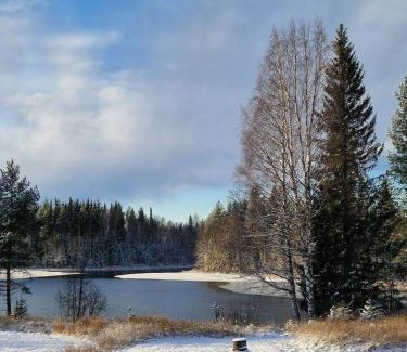 Niemisel Haus | Åviken Cabin