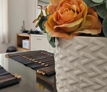 Campinas Wohnung | Ótimo Apartamento