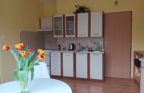 Hejnice Wohnung | Útulný byteček v Hejnicích