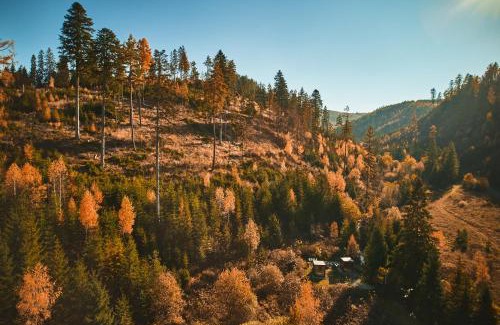Spisske Bystre Skihütte | Škandinávske domčeky-lesná sauna a ubytovanie