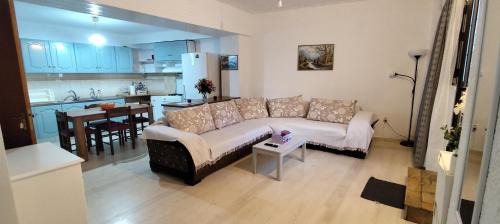 Itea Wohnung | Ευρύχωρο και άνετο διαμέρισμα στην Ιτέα Joanna's Apartment