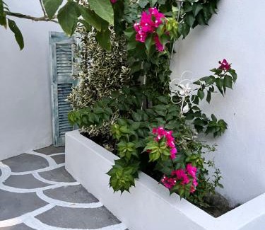 Agia Haus | Ευχάριστο εξοχικό σπίτι!