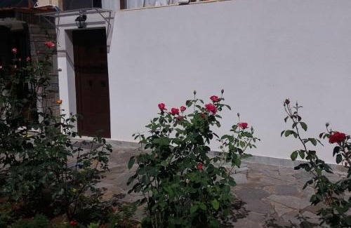 Kozani Wohnung | Στούντιο κοντά στο Πανεπιστήμιο, περιοχή κόμβος ΤΕΙ