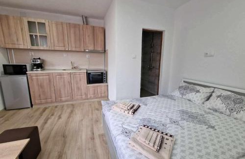 Banya Wohnung | Апартаменти село Баня