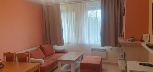Pamporovo Wohnung | Апартамент Pamporovo Palace