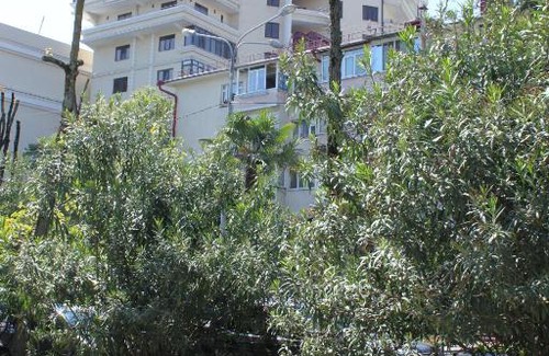 Sochi City Centre Wohnung | Балкон на море