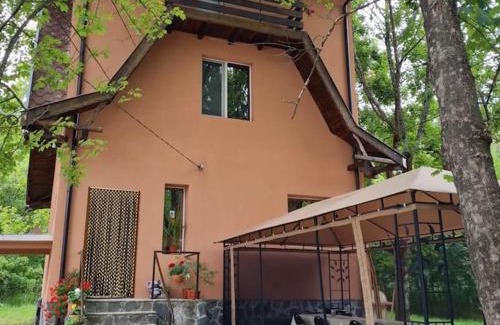 Tsigov Chark Haus | Вила Вайлин