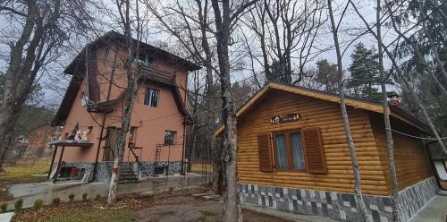 Tsigov Chark Haus | Вила Вайлин