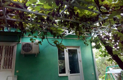 Agoy Haus | Вино кино