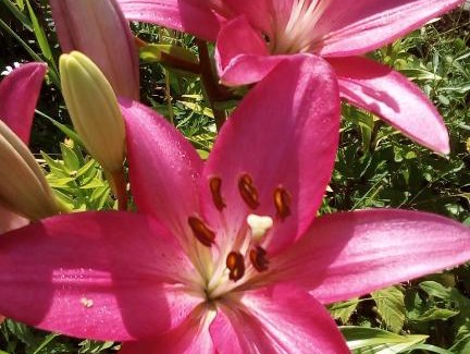 Ogonki Haus | Дом с сауной