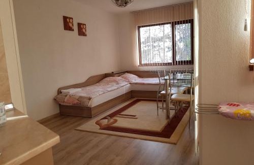 Sandanski Wohnung | Д и В 1 - D & V 1 Apartment