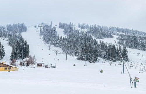 Plavya Hotel | Карпатська Ружа