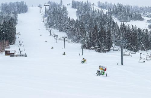 Plavya Hotel | Карпатська Ружа