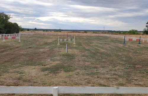 Gulyantsi Haus | Конна база Ескус Хорсес