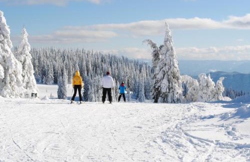 Pamporovo Wohnung | Костадинов 2