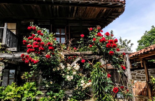 Zheravna Haus | Къщата на художника