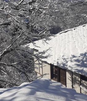 Leshten Wohnung | Къща за гости Близнаците