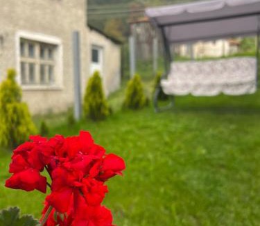 Borino Haus | Къща за гости "Домът на Краси"