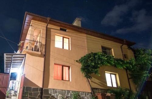 Dobrinishte Haus | Къща за гости ФЪН ШУЙ 88