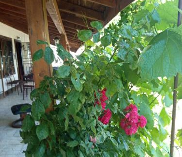 Kamenar Haus | Къща за гости Veranda Raia Поморие