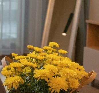 Lozenets Wohnung | Луксозно студио One Place in Sofia A1 - Лозенец