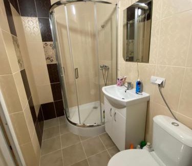 Plavya Skihütte | Медові Карпати