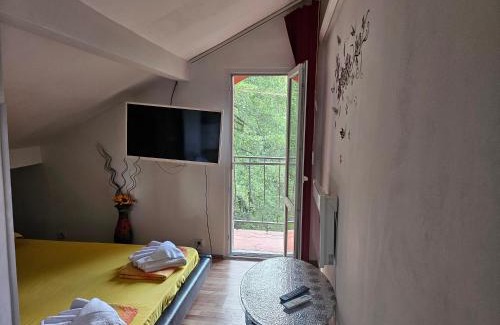 Tryavna Haus | Стаи до реката