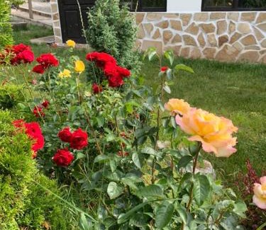 Kyustendil Haus | СТАРАТА КЪЩА