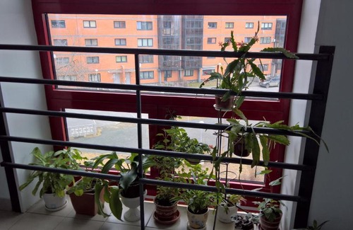 Petrozavodsk Wohnung | Студия на Варкауса
