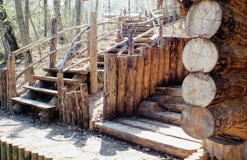 Zvenigorod Haus | Таёжный глэмпинг