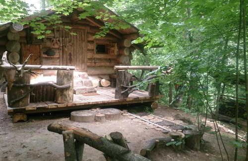 Zvenigorod Haus | Таёжный глэмпинг