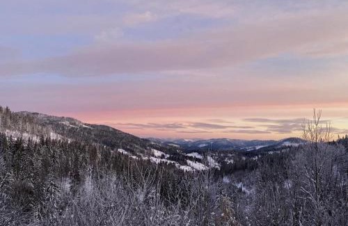 Plavya Wohnung | ТСЦ Тисовець