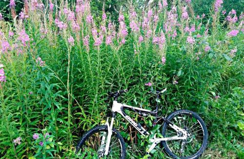 Plavya Wohnung | ТСЦ Тисовець