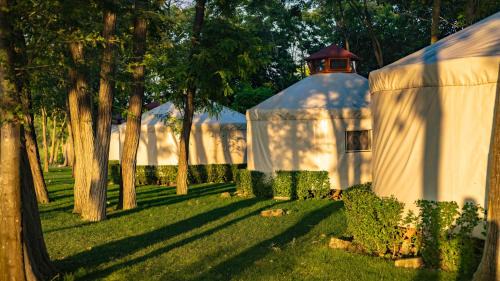 Vetrino Sonstige | Юртов лагер Наедно