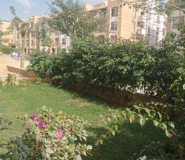 The 5th Settlement Wohnung | استون رايذدنس