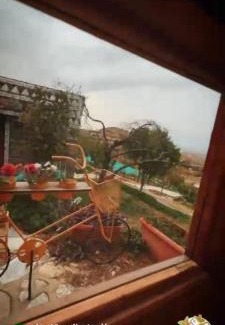 Mizail Kabine | اكوخ في مزرعة بساتين اللوز