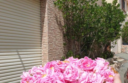 Al Hada Skihütte | الأنس حيث تأنس النفس