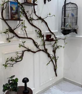 Al Hawiyah Skihütte | شاليه ريف ريزا