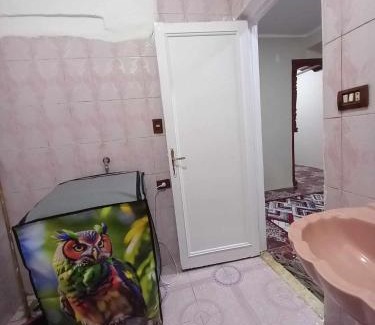 Shibin al Kawm Wohnung | شقة سكنية