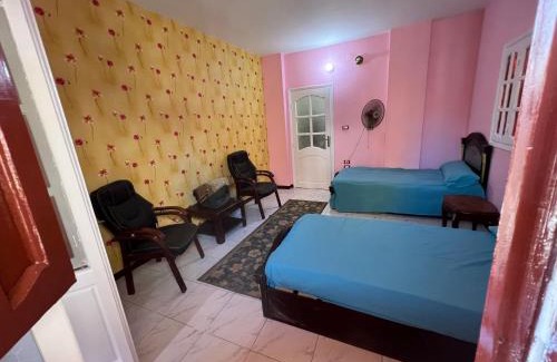 Mansoura Wohnung | شقه حديثه في وسط المنصوره بالقرب من الجامعه ١٧٥ متر