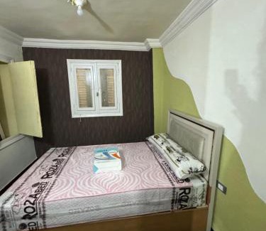 Mansoura Wohnung | شقه صغيره فندقيه في موقع مميز جديده وفرش وموبيليا جديده