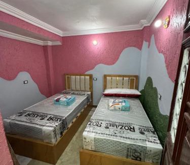 Mansoura Wohnung | غرفه خاصه لك جديده وفرش جديد ومميز بها سريرين وتلفزيون
