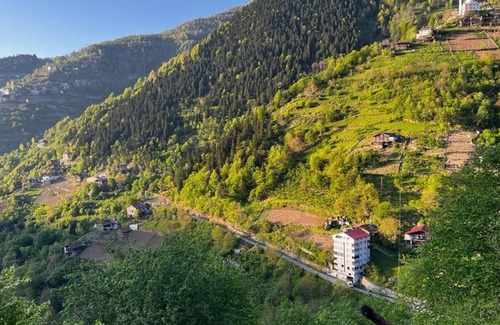Caykara Hütte | كوخ في اوزنجول Uzungöl