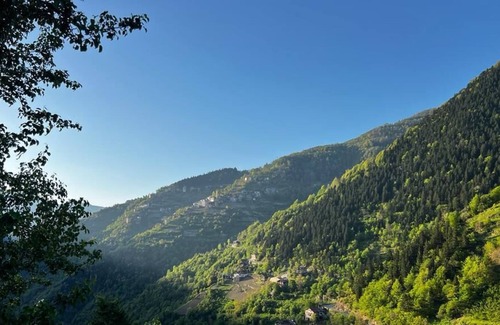 Caykara Hütte | كوخ في اوزنجول Uzungöl