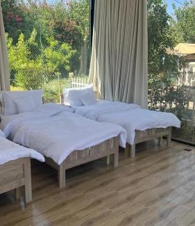 Mizail Haus | منتجع سفاري ديور