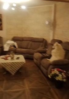 New Cairo Haus | منطقه ٥١ اسكان الجامعه الامريكيه